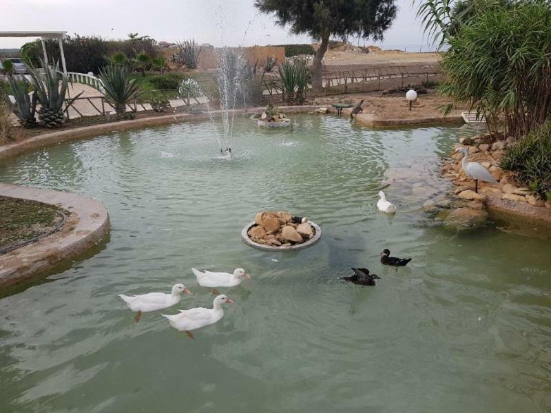 Kamarina Resort Scoglitti Exteriér fotografie